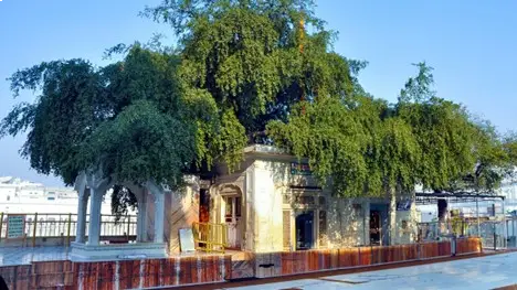 Small building shaded by a large tree, with a wooden fence along the front in an open plaza area.